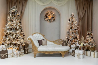 Burberry - Mini session Christmas 2025