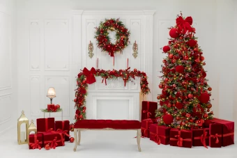 Valentino - Mini session Christmas 2025