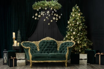 Versace - Mini session Christmas 2025